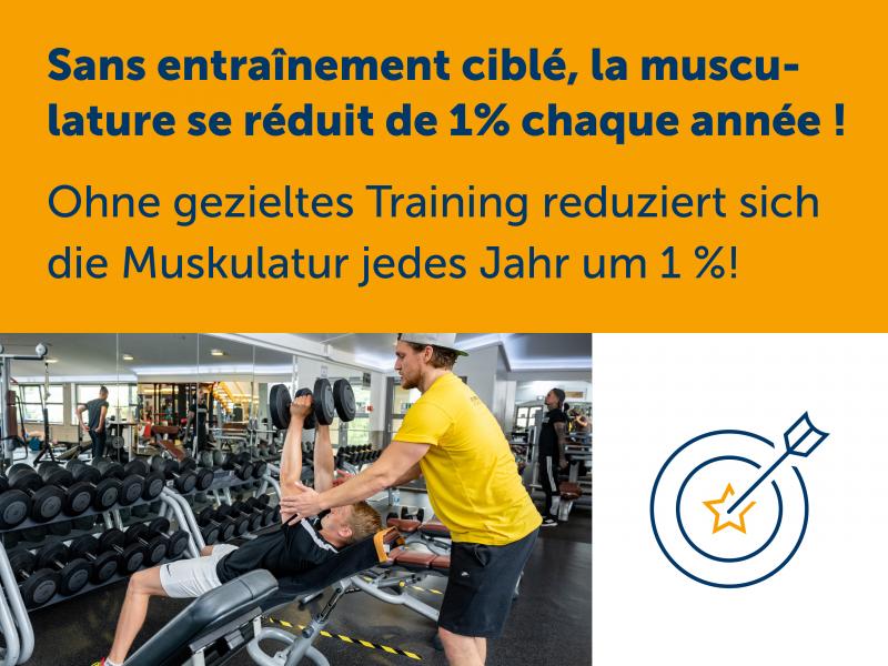 Sans entraînement ciblé la musculature se réduit de 1 % chaque année. 