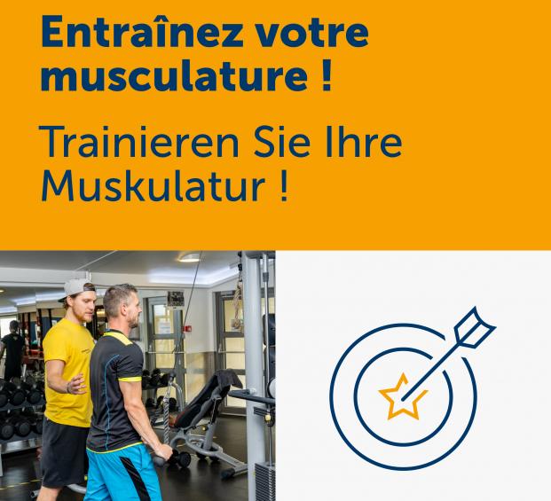 Sans entraînement ciblé la musculature se réduit de 1 % chaque année. 